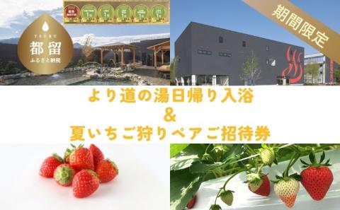 【期間限定】山梨泊まれる温泉より道の湯　日帰りペア入浴券（食事＋岩盤浴付き） ＆　夏いちご狩り ペアご招待券