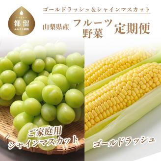 【期間限定 定期便】シャインマスカット 1kg ＆ とうもろこし 7～8本 定期便｜山梨 今が旬！トウモロコシ シャイン  農家直送 送料無料 やまなし
