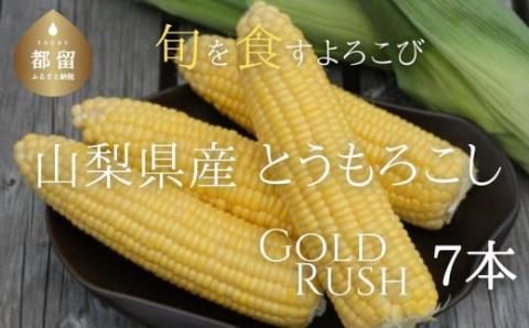 【2026年先行予約】山梨県都留市産 ゴールドラッシュ 7本｜ 新鮮 朝採れ もぎたて発送 甘い とうもろこし トウモロコシ 産地直送 送料無料【炭香ファーム】