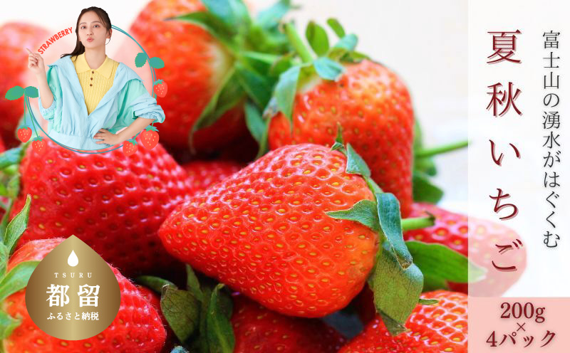 【2026年 先行予約】【湧水のミネラルたっぷり！山梨の夏秋いちご】ご家庭用 200ｇ× 4パック