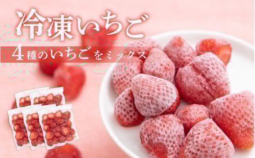 冷凍いちご 5袋詰合せセット