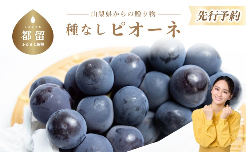 【2026年 先行予約】山梨県産 種なしピオーネ 2~3房(約1.0Kg）【アズールヤード】| 2～3房 山梨 やまなし 葡萄 ブドウ フルーツ 果物 くだもの ぶどう デザート スイーツ 黒葡萄 黒ブドウ 黒ぶどう 濃厚 ピオーネ 甘い
