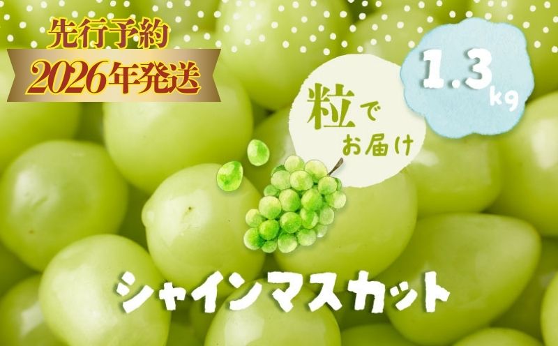 【2026年先行予約】シャインマスカット約1.3kg　（粒）|　マスカット　ブドウ　ぶどう　葡萄　シャインマスカット　甘い　フルーツ　スイーツ　粒　山梨　山梨県 約1.3kg