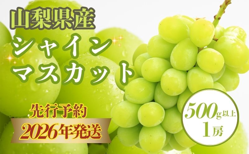 【2026年！今シーズン発送】シャインマスカット500g以上（1房）葡萄　ブドウ　フルーツ　甘い　デザート　山梨　山梨産　シャイン シャインマスカット　ぶどう 500g以上