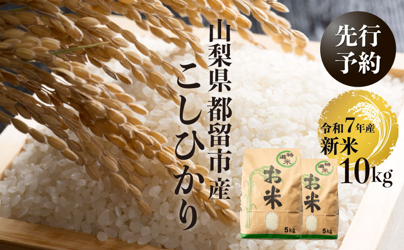 【令和７年産新米・予約】山梨県都留市産こしひかり[10kg]　米　コメ　こめ　新米　コシヒカリ　こしひかり　山梨　山梨県