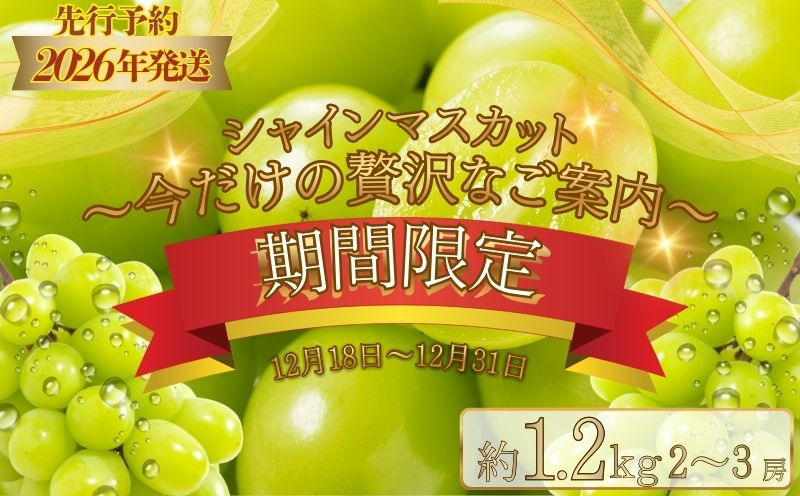 【期間限定】【数量限定】 シャインマスカット スペシャルサンクス約1.2kg（2～3房）【2026年先行予約】 | フルーツ 人気 甘い 糖度 山梨  種無し 種なし 山梨 やまなし 山梨県産 葡萄 ブドウ フルーツ 果物 くだもの シャイン マスカット ぶどう デザート スイーツ
