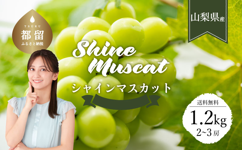 【2026年先行予約】【山梨県都留市ふるさと納税】クール便配送　山梨県産シャインマスカット1.2kg(2～3房)　フルーツ　葡萄　ぶどう　マスカット　社員マスカット　山梨