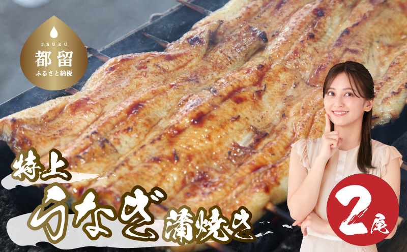 うなぎの蒲焼（半カット）2尾　380g以上　湯煎　温めるだけ 冷凍 真空パック 人気 お試し　ウナギ　鰻　うな重　かば焼き　ご馳走