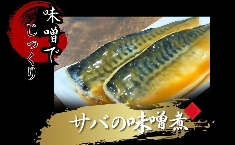 サバの味噌煮 鯖　さば　サバ　味噌煮　魚