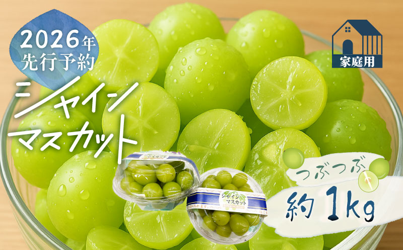 【2026年先行予約】ご家庭用つぶつぶ　シャインマスカット（約1.0kg）｜高糖度  種なし 甘い フルーツ 果物 葡萄 ブドウ ぶどう 産地直送 送料無料 山梨 都留市