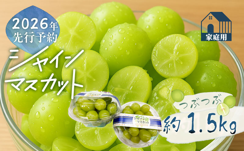 【2026年先行予約】ご家庭用つぶつぶ　シャインマスカット（約1.5kg）｜高糖度  種なし 甘い フルーツ 果物 葡萄 ブドウ ぶどう 産地直送 送料無料 山梨 都留市