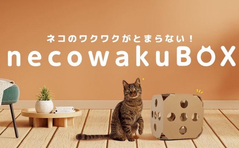 necowakuBOX｜ネコワクボックス ねこ　猫　ネコ