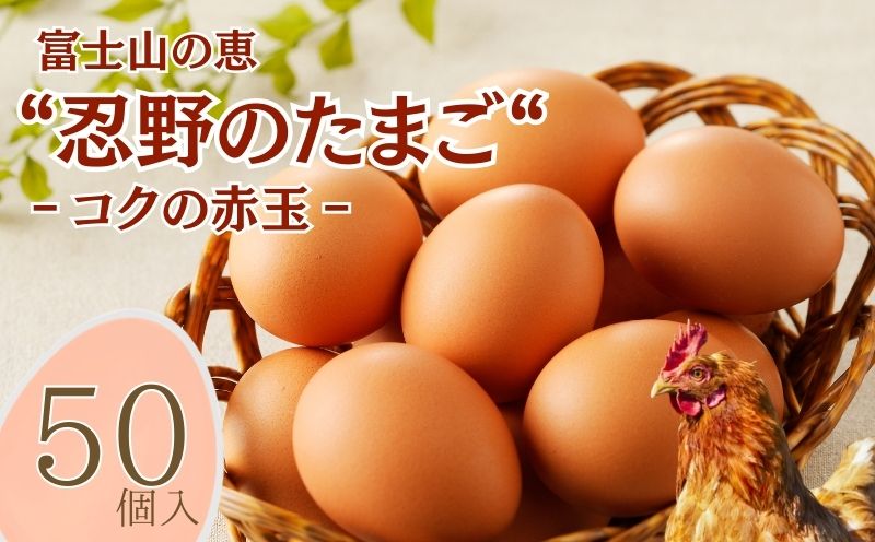 富士山の恵“忍野のたまご“‐コクの赤玉‐50個入
