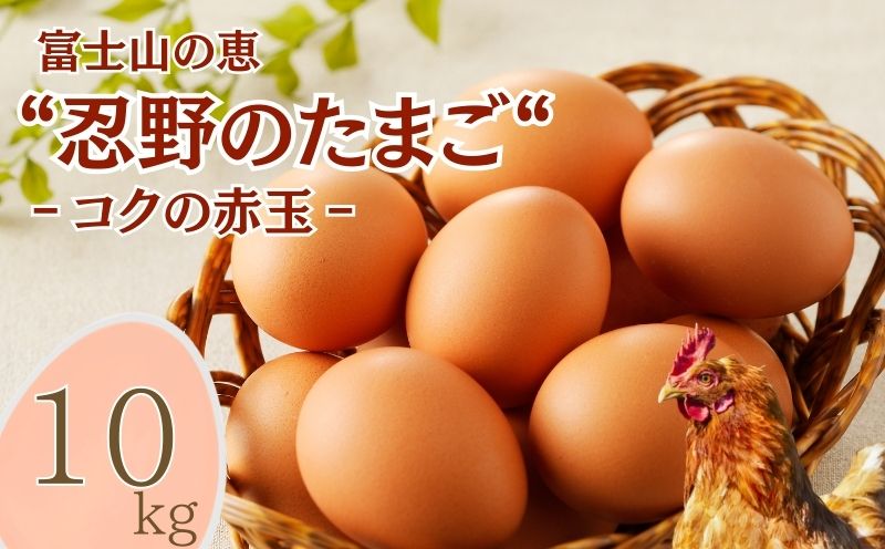 富士山の恵“忍野のたまご“‐コクの赤玉‐10㎏