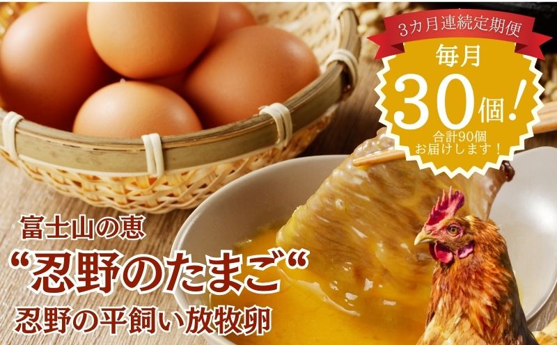 【定期便】忍野の平飼い放牧卵　3か月連続定期便（毎月30個×3か月　合計90個）