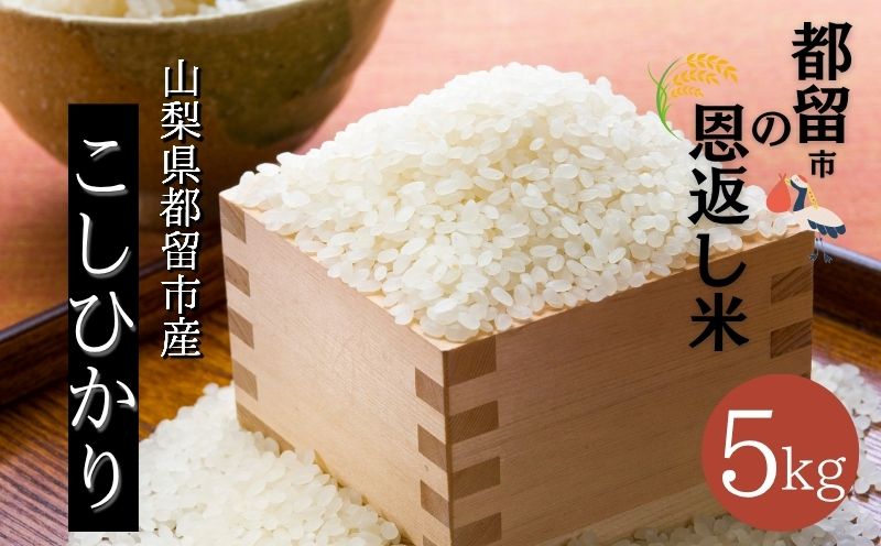 【ふるさと納税】【令和7年産 新米】山梨県都留市産 コシヒカリ 5kg｜精米 産地直送 送料無料【都留市の恩返し米】