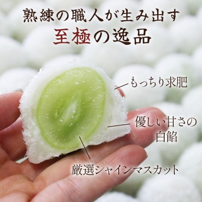 【2026年先行受付】山梨県産シャインマスカットのフルーツ大福「雪みどり」10個入 皇室献上菓匠【配送不可地域：離島】