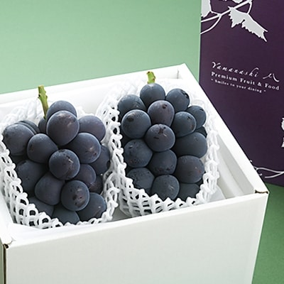 【2026年発送分先行受付】山梨産ブラックビート 2房(約1kg) 化粧箱入り レアな希少品種【配送不可地域：離島・沖縄県】