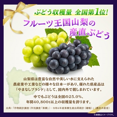 【2026年先行受付】ピオーネ 約550g×3房 山梨市産 「ピオーネ(種なし)」 詰め合わせ【配送不可地域：離島・沖縄県】