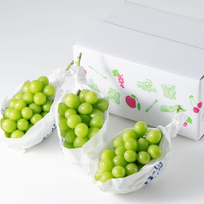【2026年先行受付】山梨市産「シャインマスカット(種なし)」 約1.5kg (約500g×3房)【配送不可地域：離島・沖縄県】