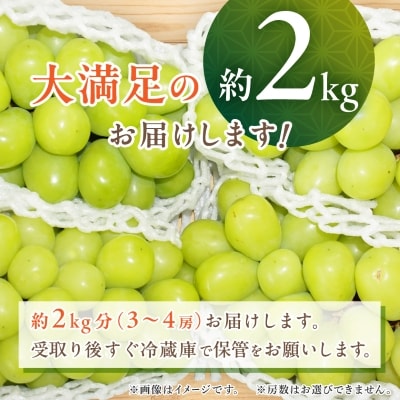 【先行受付】シャインマスカット 2kg (3～4房) 農家直送 世界農業遺産認定地特産【配送不可地域：離島】