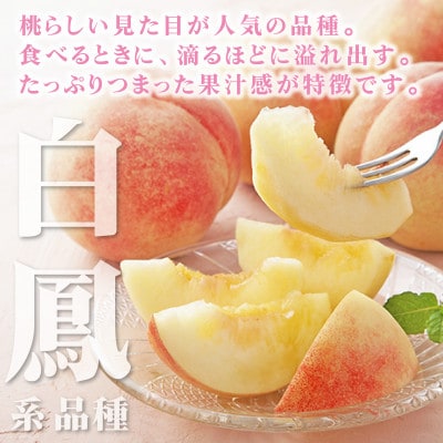 2026年先行受付　山梨県産 桃 白鳳系 1kg以上(3～5玉) フルーツ王国・山梨から産地直送【配送不可地域：離島・沖縄県】