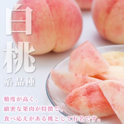 2026年先行受付　山梨県産 桃 白桃系 2kg以上(5～8玉) フルーツ王国・山梨から産地直送【配送不可地域：離島・沖縄県】