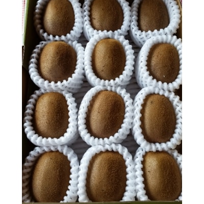 キウイフルーツ(ヘイワード)約2kg