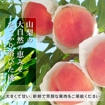 【2026発送予定】農家直送朝どり桃!大きくて甘い特選桃5～6玉入り山梨市産地直送約2kg箱【配送不可地域：離島】