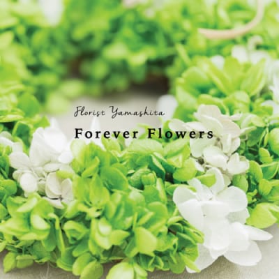 プリザーブドフラワー 紫陽花 グリーン リース