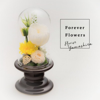 プリザーブドフラワー 仏花 ガラスドーム「寂静きいろ」