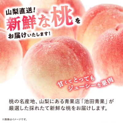 【2026年 先行受付】 桃 約3kg (8玉～12玉) 厳選 ! 池田青果の もも【配送不可地域：離島・沖縄県】