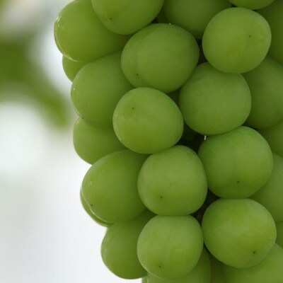 【ふるさと納税】2026年先行予約 厳選! 山梨県山梨市産 シャインマスカット 約2kg(3～4房)【配送不可地域：離島】