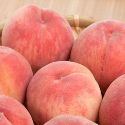 《2026年 先行予約》農家直送 桃名産地 山梨の桃 秀品 約1.5kg ふるさと納税【配送不可地域：離島・沖縄県】