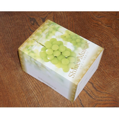 【2026年先行予約】ハウス栽培7月出荷シャインマスカット(2房約800g)世界農業遺産認定地特産【配送不可地域：離島】