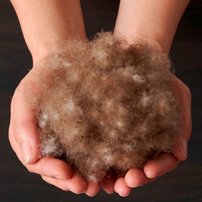 甲州羽毛本掛けふとん1枚　二層キルト　アイダーダウン95%　ブルー　(シングル)4