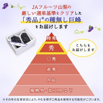ハウス種なし巨峰(3～4房)/80【配送不可地域：離島】