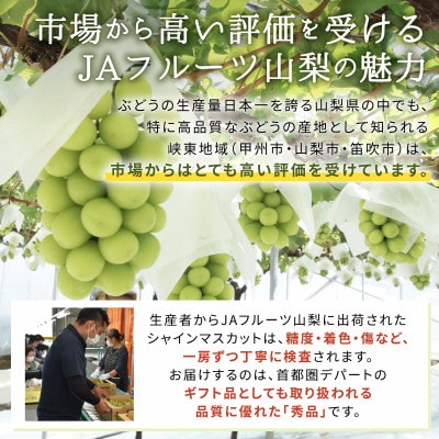 シャインマスカット(2房)【配送不可地域：離島】