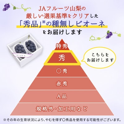 種なしピオーネ(2房)/80【配送不可地域：離島】