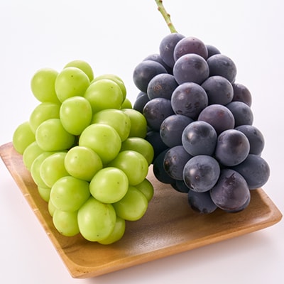 【2026年先行受付】大人気!巨峰・シャインマスカット食べ比べセット ふるさと納税 　【配送不可地域：離島・沖縄県】