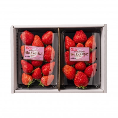 山梨県産坂の上のいちご280g×2【配送不可地域：離島】