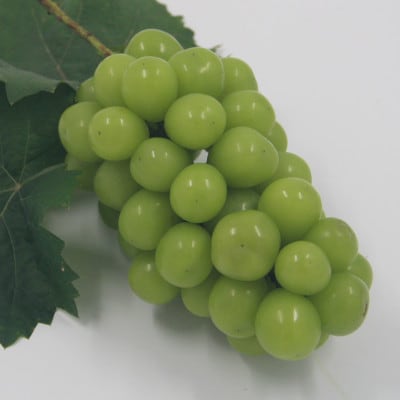 【2026年発送】厳選!プレミアムシャインマスカット1房　(700g以上サイズ)【配送不可地域：離島】