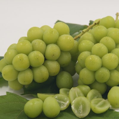 【2026年発送】厳選!シャインマスカット約1.8～2.0kg　3～5房入り【配送不可地域：離島】