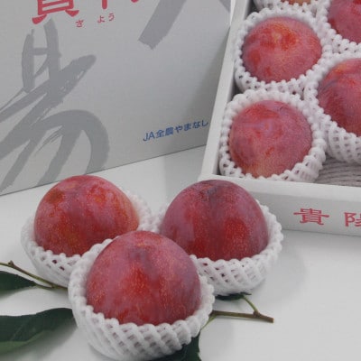 【2026年先行予約】すもも『中玉貴陽』約1.5kg(7～10玉)【配送不可地域：離島】