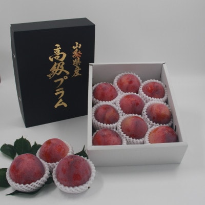 【2026年先行予約】すもも『大玉貴陽』約1.8kg(7～10玉)【配送不可地域：離島】