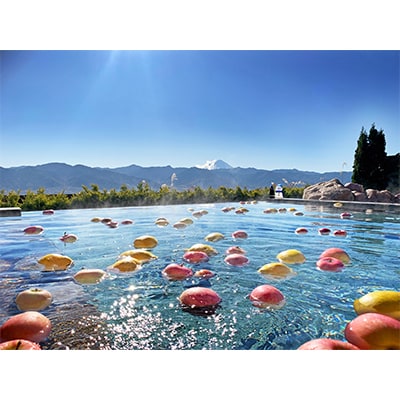 やまなしフルーツ温泉ぷくぷくの特別招待ペア券(レンタルタオルセット付)