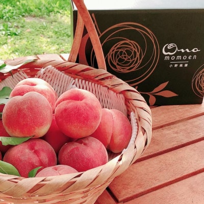 【一流レストラン御用達】リピーターNo.1樹上完熟桃ギリギリ限界まで完熟2026年6月下旬より発送【配送不可地域：離島・北海道・沖縄県・中国・四国・九州】