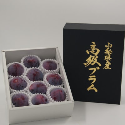 2026年 先行受付山梨市産プラム　太陽　約1.7kg(9～12玉)【配送不可地域：離島・沖縄県】