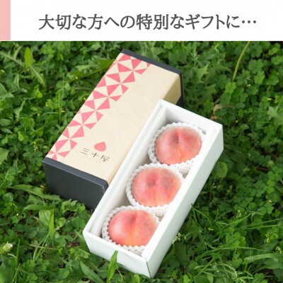 「2026年先行受付」三十屋こだわり桃【3個入 1kg以上】【配送不可地域：離島・沖縄県】