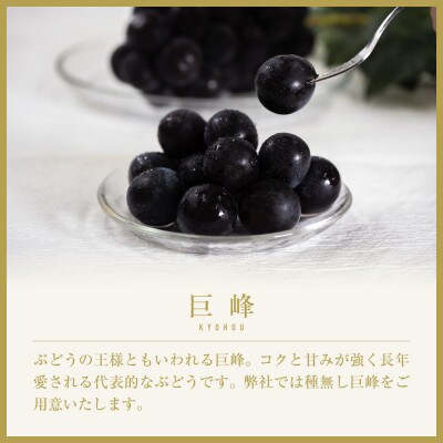 【2026年発送先行受付】山梨県山梨市産　旬の採れたて巨峰　約1kg　2～3房【配送不可地域：離島】